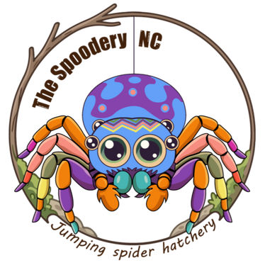 The Spoodery NC Company logo
